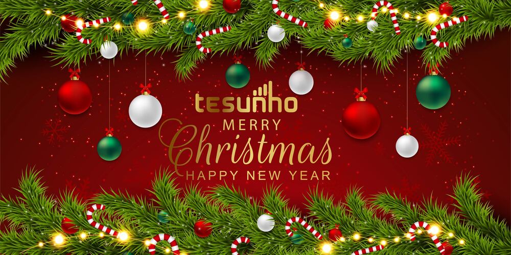 Christmas and New Year Greeting from Tesunho